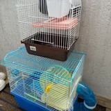 Клетки для хомяков 2