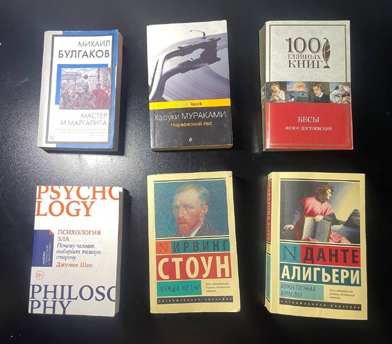 Книги Михаил Булгаков, Харуки Мураками, Федор Достоевский, Джулия Шоу, Ирвинг Стоун, Данте Алигьери