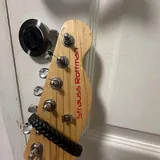 Электрогитара Telecaster Strauss Rottman 1