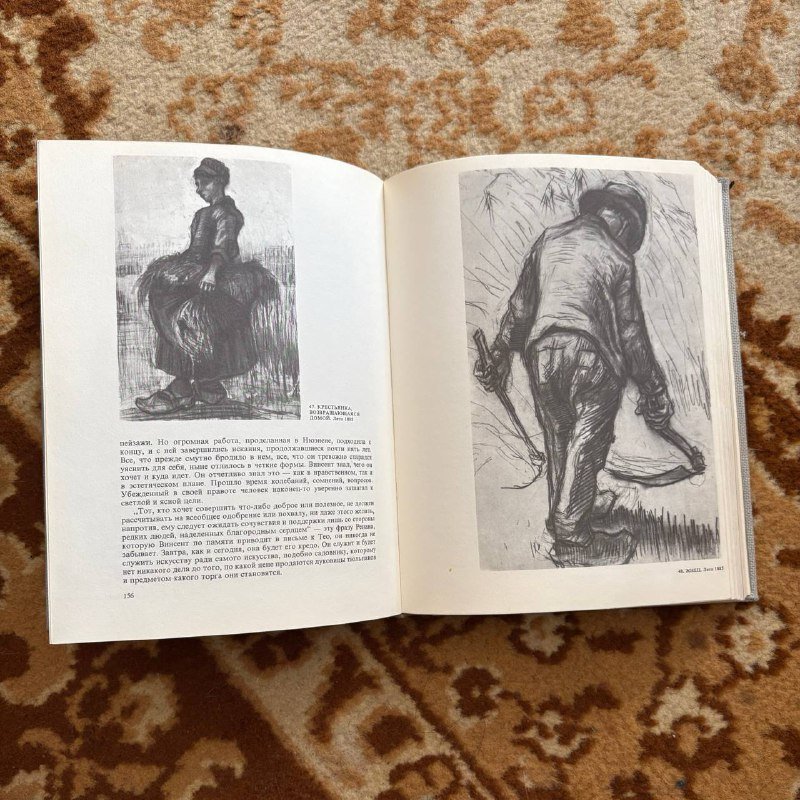 Жизнь Ван Гога и письма к брату Тео (2 книги) 3