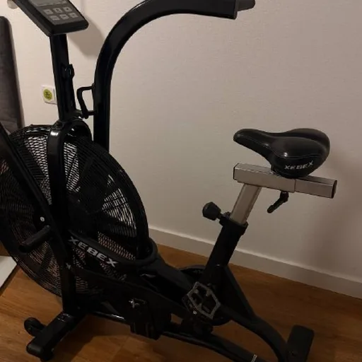 Xebex Air Bike