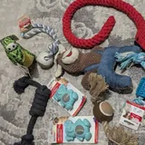 Игрушки для собак, переноска 1
