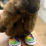 Vans детские кеды слипоны 4