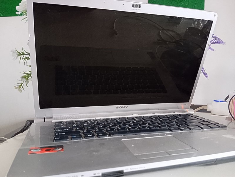 Ноутбук Sony VAIO Vgn-fw11zru