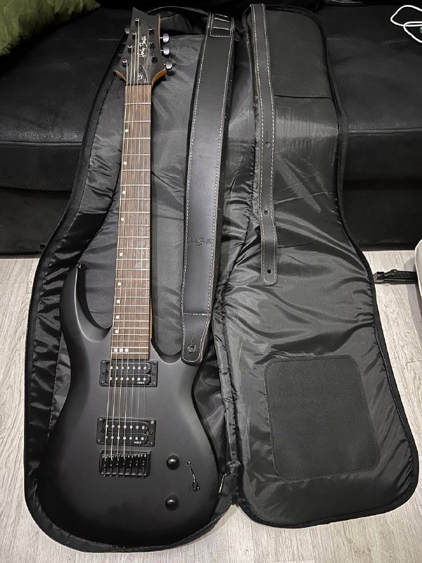 Гитара Steinberger, электрогитара Harley Benton, комбоусилитель Harley Benton 2