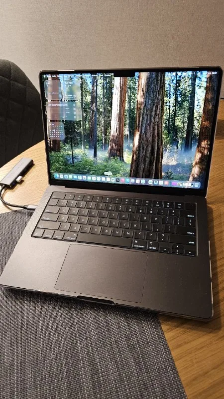 MacBook M3 Pro 14" 36 GB 1 TB 1