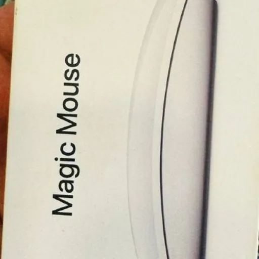 Apple Magic Mouse