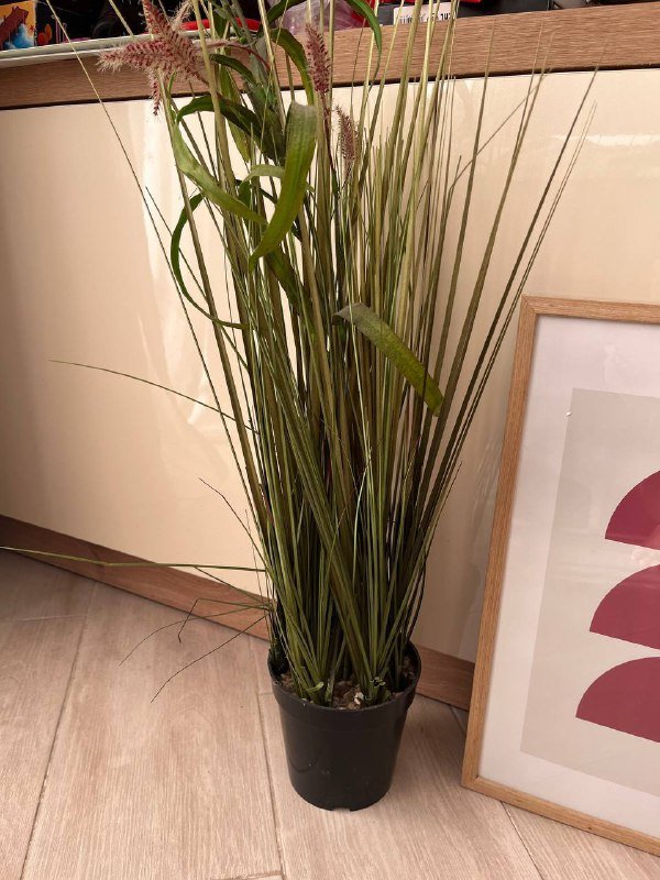 Ваза глиняная, искусственный цветок, женские перчатки, ножнички для животных, детские книги 2