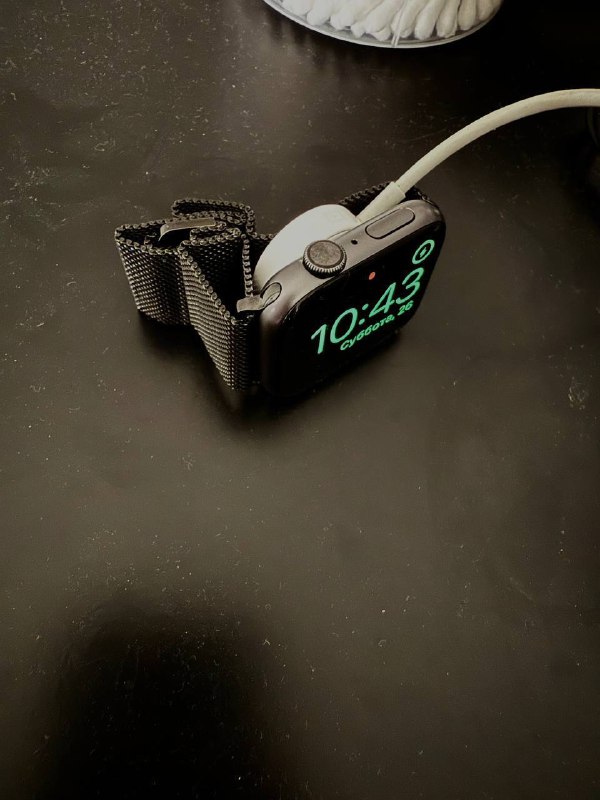 Apple Watch Series 4 16Gb 2