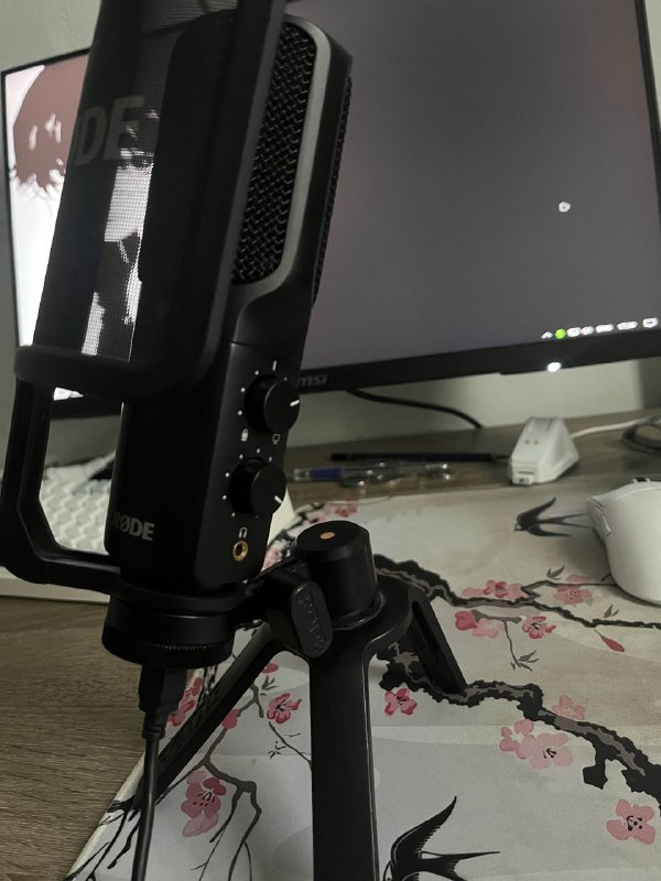 Микрофон Rode NT-USB 2