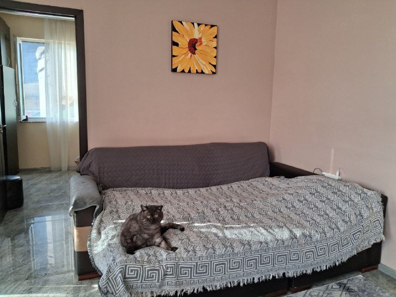 Квартира 1+1, 48 кв.м, Агмашенебели, Батуми 2