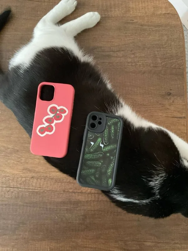 Чехлы на iPhone 12 mini