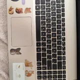 Ноутбук ASUS 3