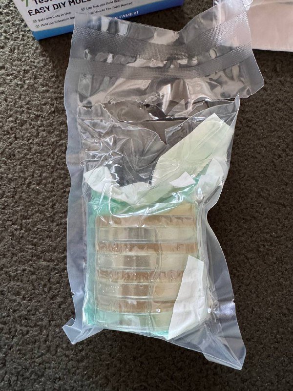 Тесты на плесень 4 штуки 2