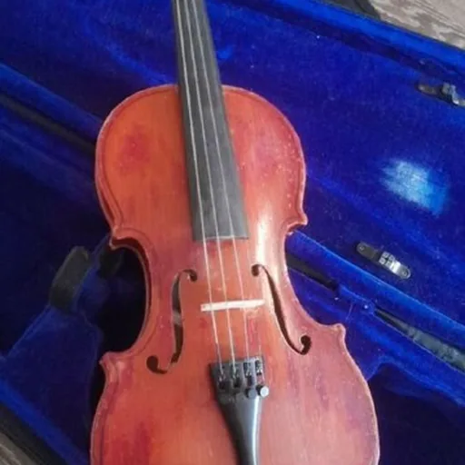 Скрипка 3/4