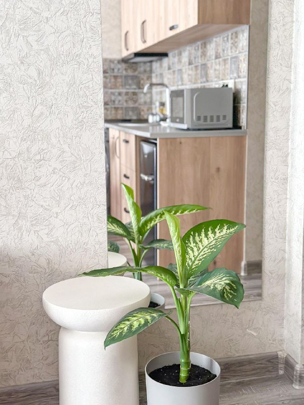 Студия 38 кв.м. с видом на море, Орби бич 7