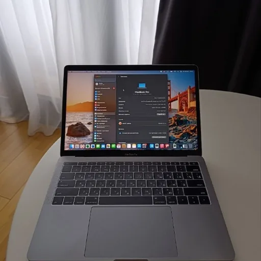 MacBook Pro 13 16/256GB