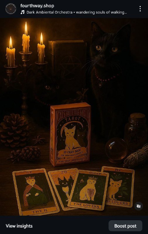 Кошачий тарот карты