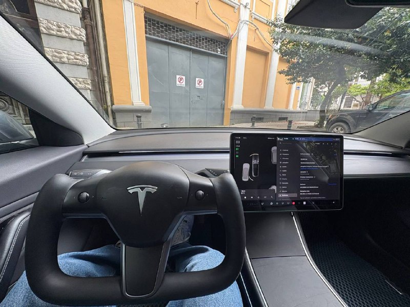 Tesla Model 3 2018 წლის 123000კმ ლონგ რეინჯი 4