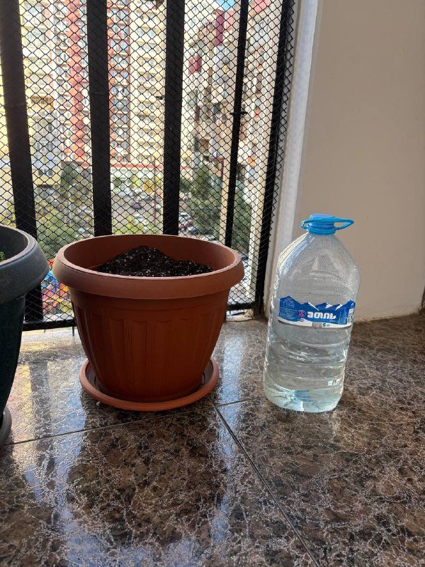 Горшок с землей