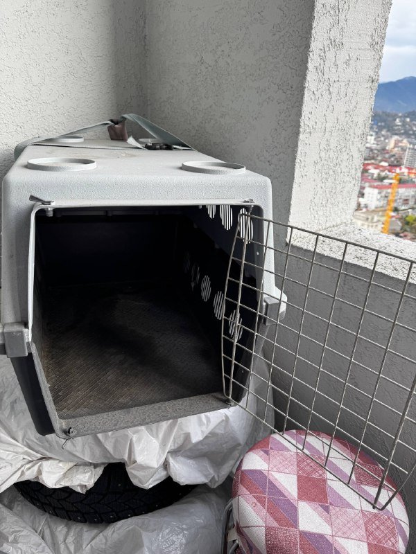 Переноска для животных, средний размер 4