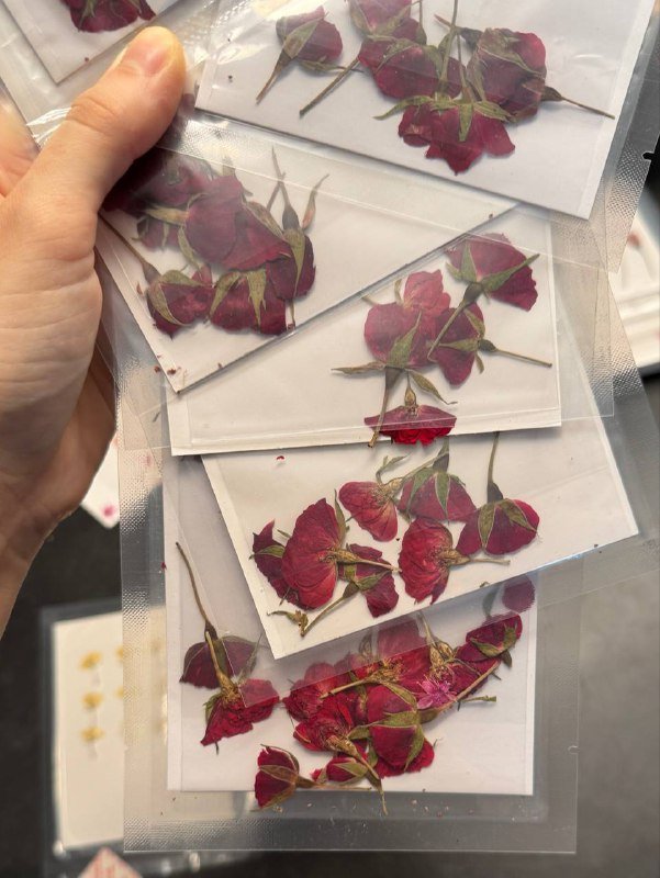 Розы в открытой упаковке 2