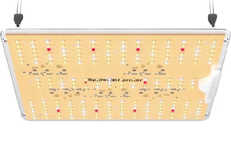 2 гроу бокса 60х60х180 с лампами Spider Farmer и MarsHydro 4