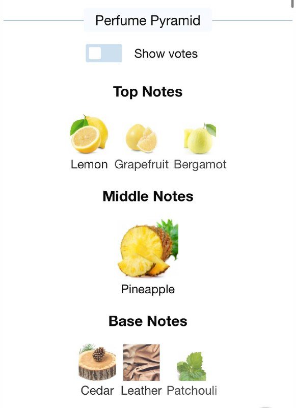 The Body Shop Black Musk, Zara Bogoss Vibrant Leather, Velvet твердые духи 4