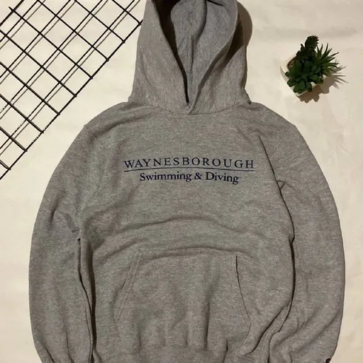 Champion hoodie